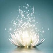 helderziende Demi- Hallo, mijn naam is medium Demi, ik ben kaartlegster, helderziend en helderwetend. Ik ben geboren met deze spirituele gaven. Al jaren help ik anderen met mijn gaven. Graag help ik jou met veel liefde antwoorden te vinden op jouw vragen over relaties, liefde, kinderen, werk en toekomst. Door de ander aan te voelen in zijn of haar energie kan ik jou op weg helpen. Heb je nood aan een babbel of luisterend oor, dan mag je ook contact opnemen. Tot binnenkort. Helderzienden hulplijn waar een helderziende je via telefoon of e-mail live antwoord kan geven over je toekomst, je verleden, relaties,... Bel nu met Helderzienden.