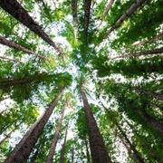 helderziende Natasha- Hi, ik ben er voor jou voor als jij even de bomen door het bos niet meer ziet staan. Ik zet jou graag in je volle kracht en eigen energie stel jezelf a.u.b. ook open voor mij. Alleen dan kunnen wij samen kijken wat voor advies bij jou past en wat jouw toekomst jou mag brengen. Ik help je zeer graag bij een rouwproces of gemis van een dierbare. Wellicht mag ik wel een mooie boodschap aan u doorgeven. Mijn doel is om jou met een glimlach en inzicht achter het scherm vandaan te laten gaan en dat jij verder kunt met mijn inzichten. Helderzienden hulplijn waar een helderziende je via telefoon of e-mail live antwoord kan geven over je toekomst, je verleden, relaties,... Bel nu met Helderzienden.